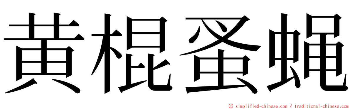 黄棍蚤蝇 ming font