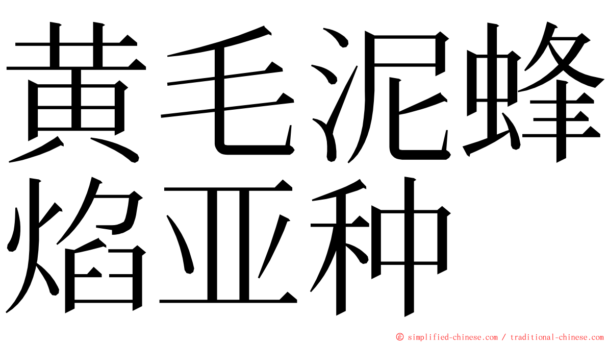 黄毛泥蜂焰亚种 ming font