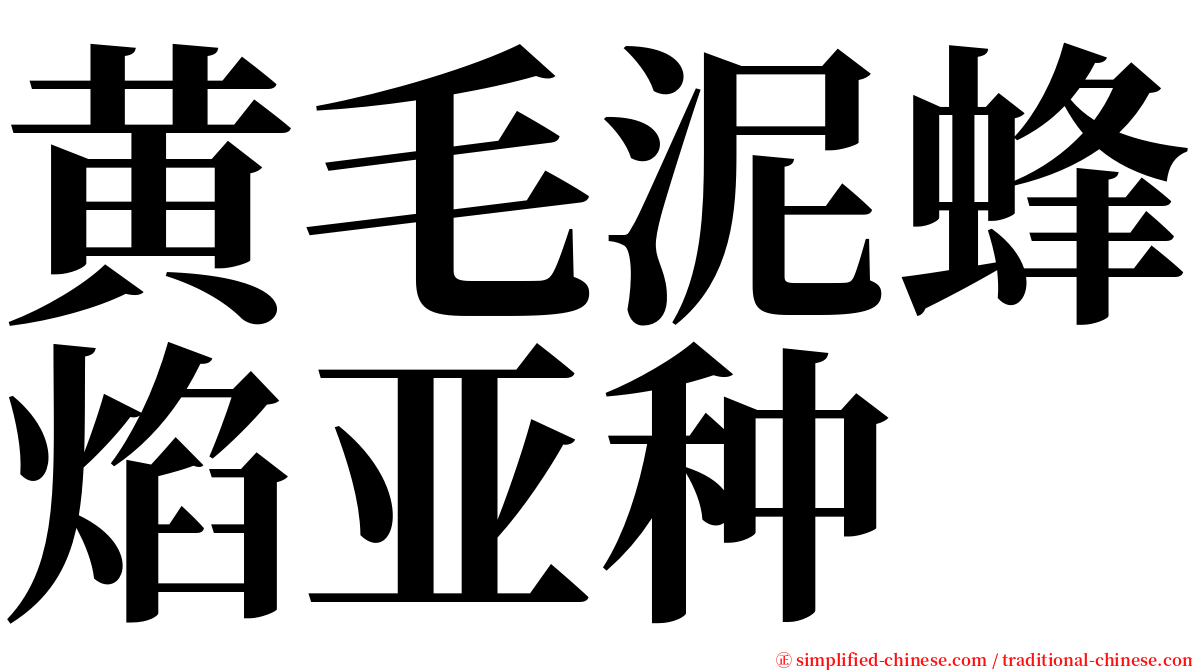 黄毛泥蜂焰亚种 serif font