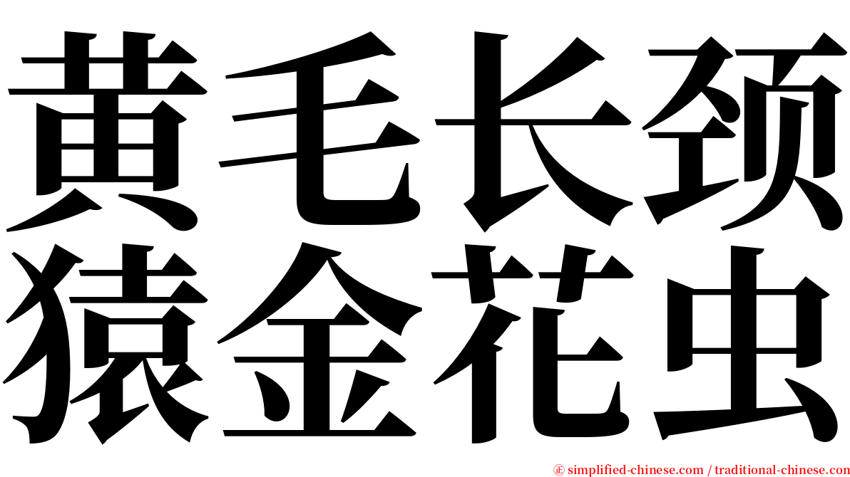 黄毛长颈猿金花虫 serif font