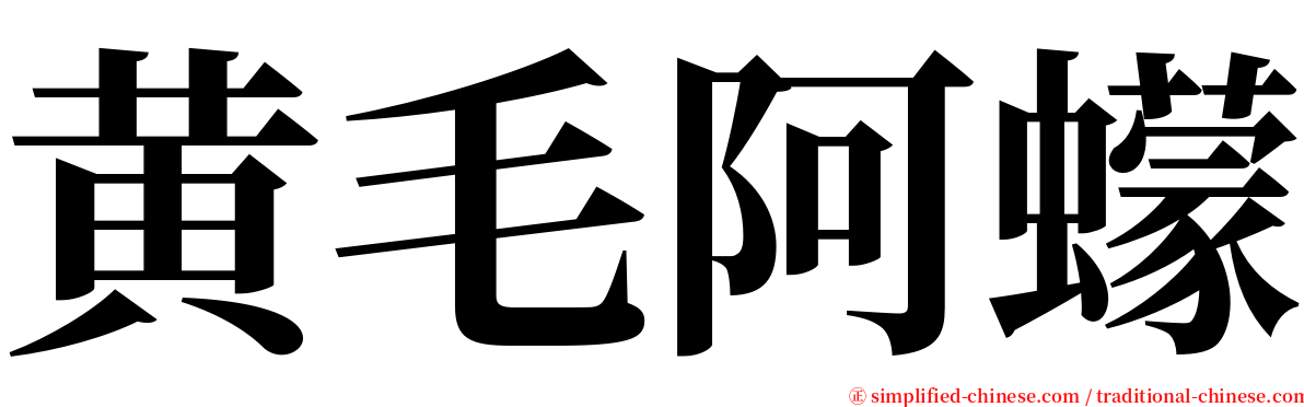 黄毛阿蠓 serif font