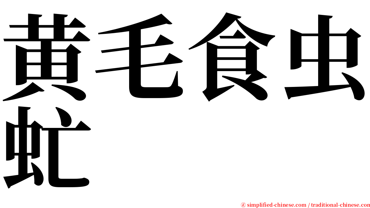 黄毛食虫虻 serif font