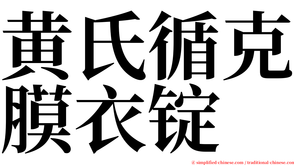黄氏循克膜衣锭 serif font