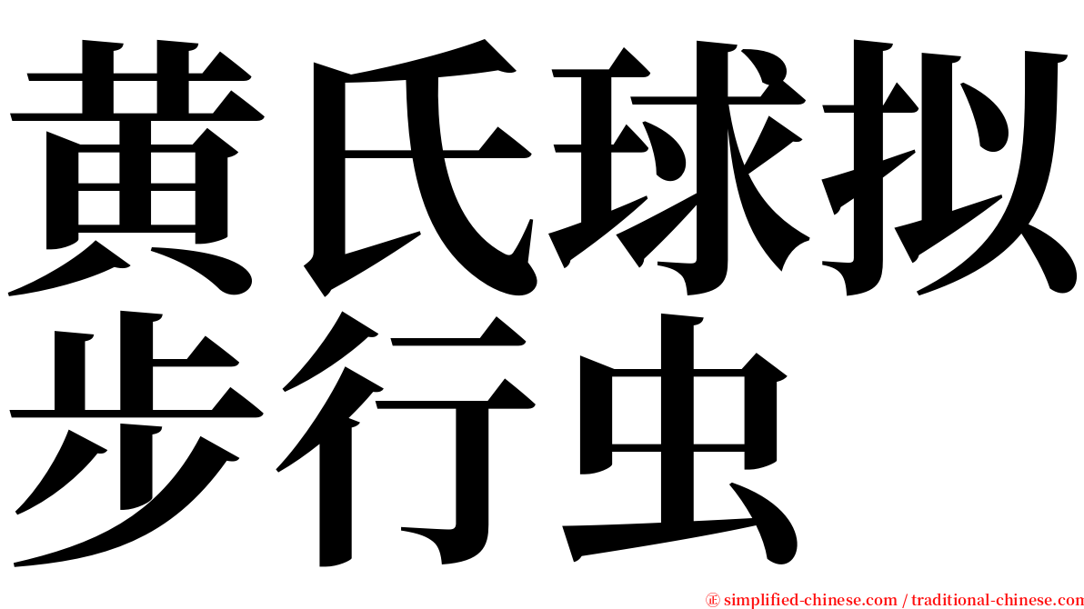 黄氏球拟步行虫 serif font