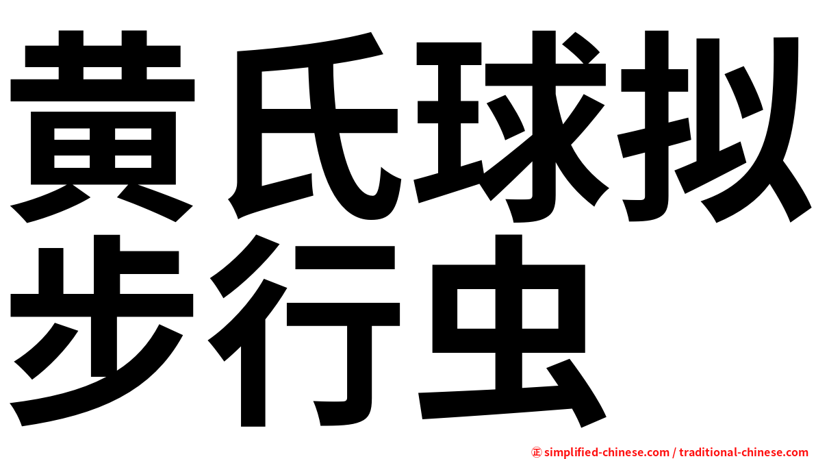 黄氏球拟步行虫