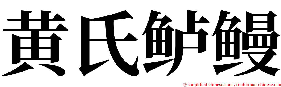 黄氏鲈鳗 serif font