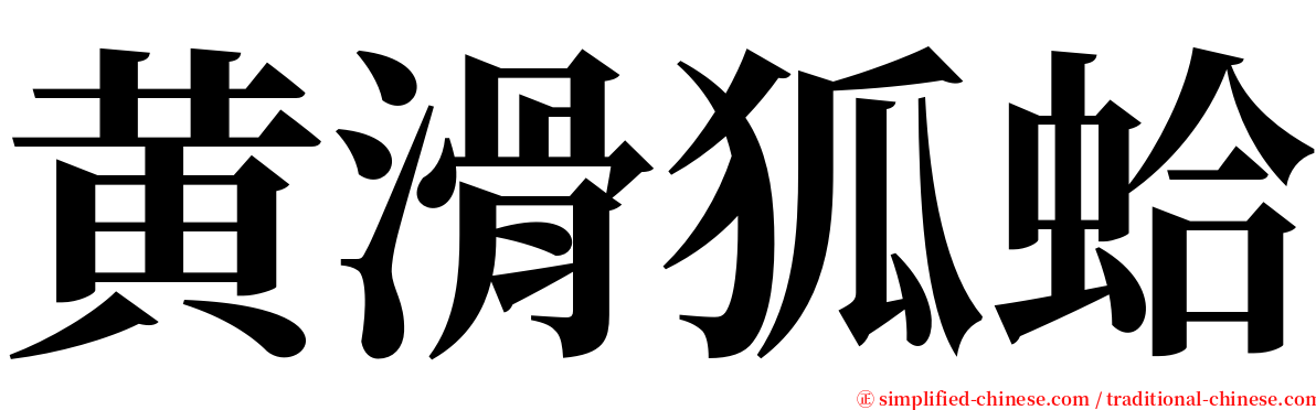 黄滑狐蛤 serif font
