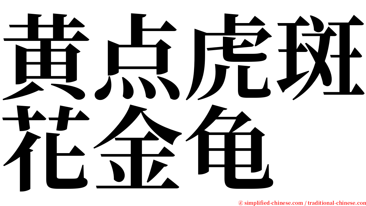 黄点虎斑花金龟 serif font