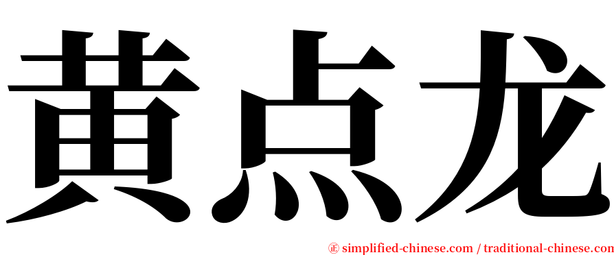 黄点龙 serif font