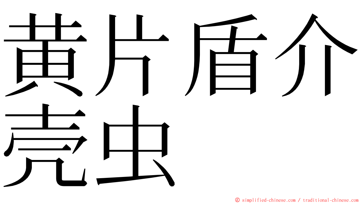 黄片盾介壳虫 ming font