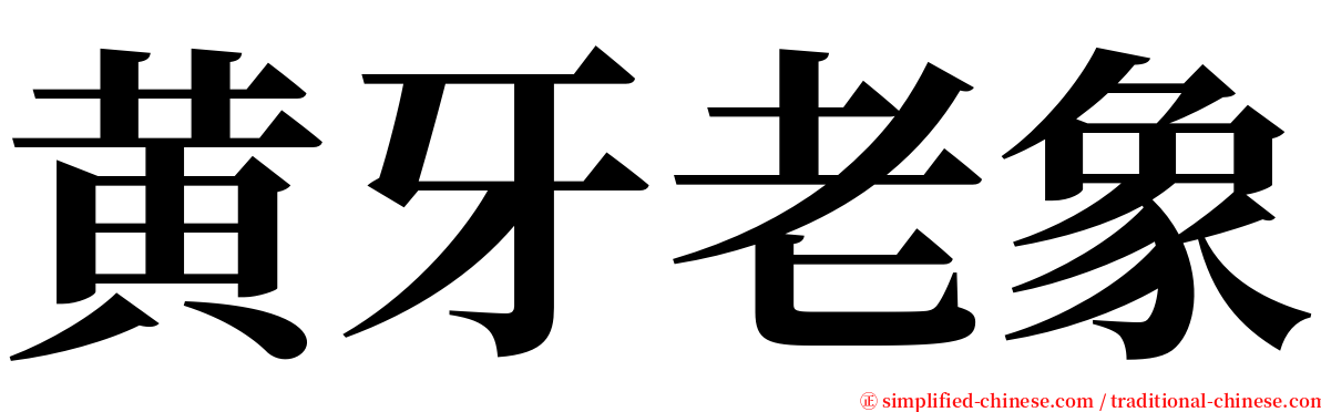 黄牙老象 serif font