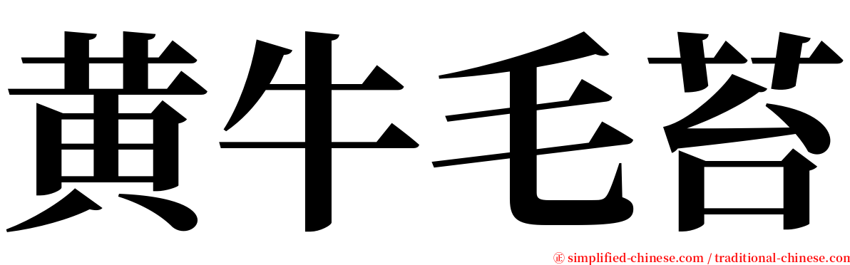 黄牛毛苔 serif font