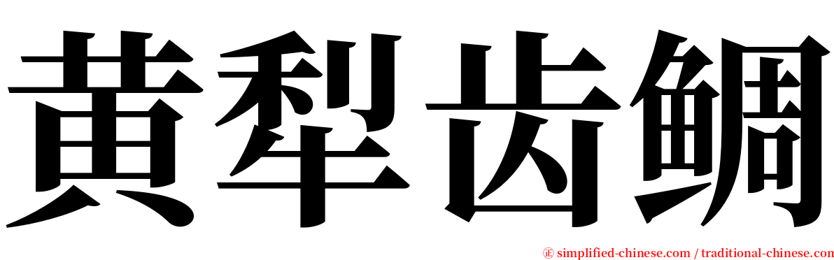 黄犁齿鲷 serif font