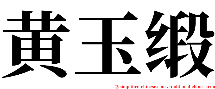 黄玉缎 serif font