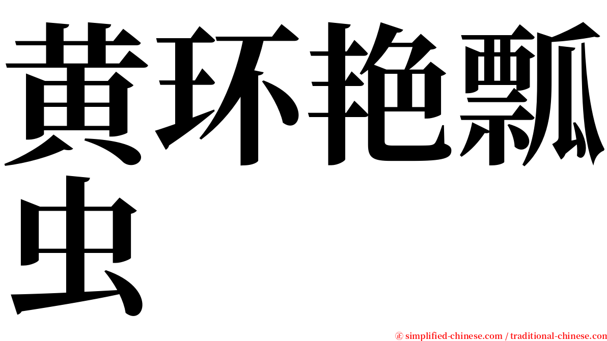黄环艳瓢虫 serif font