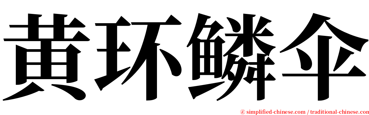 黄环鳞伞 serif font