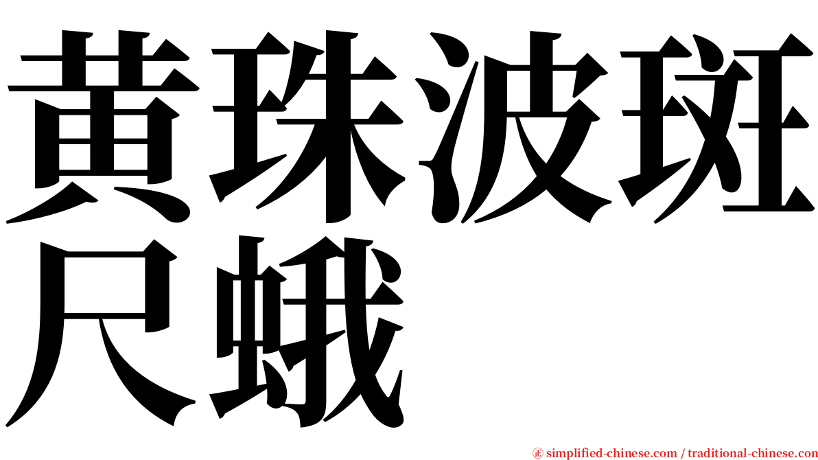黄珠波斑尺蛾 serif font