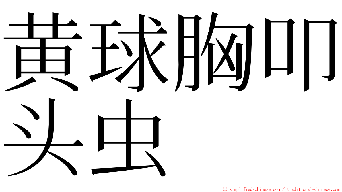 黄球胸叩头虫 ming font