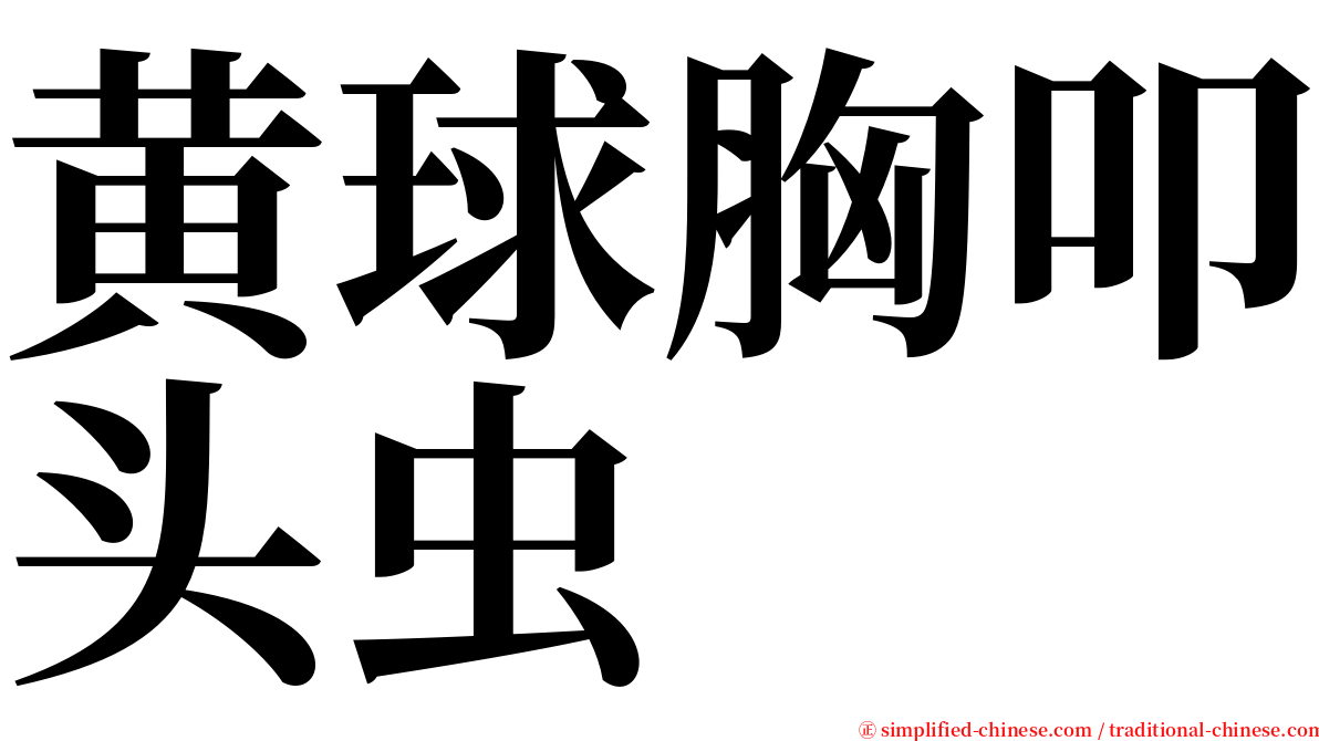 黄球胸叩头虫 serif font