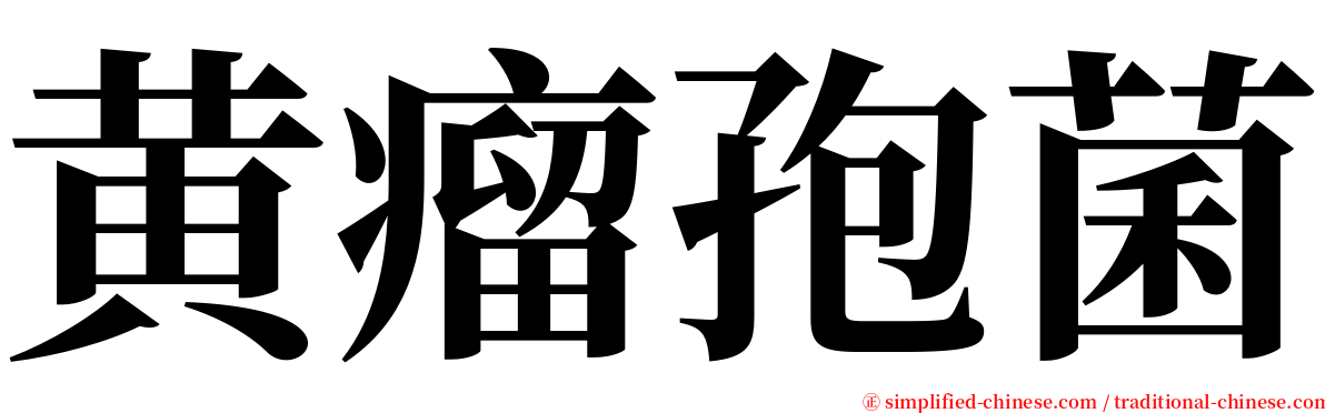 黄瘤孢菌 serif font