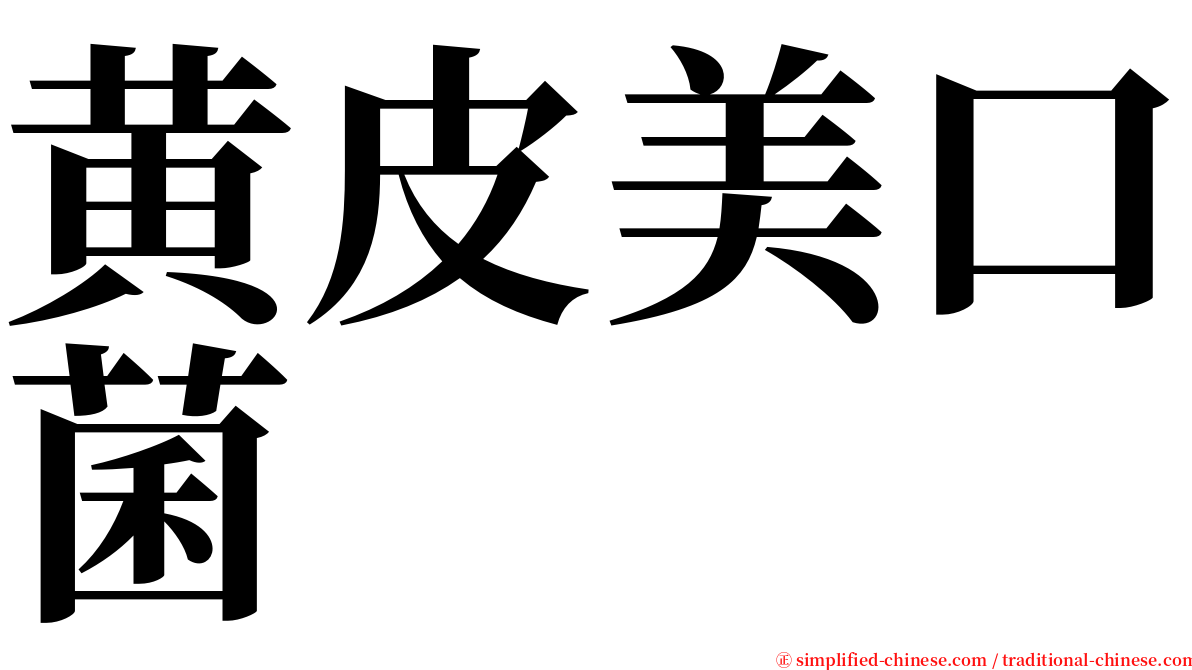 黄皮美口菌 serif font