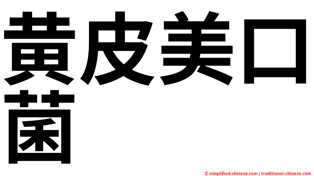 黄皮美口菌