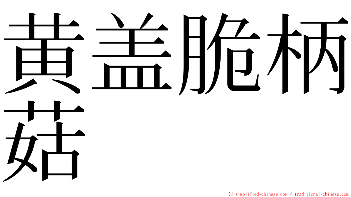 黄盖脆柄菇 ming font