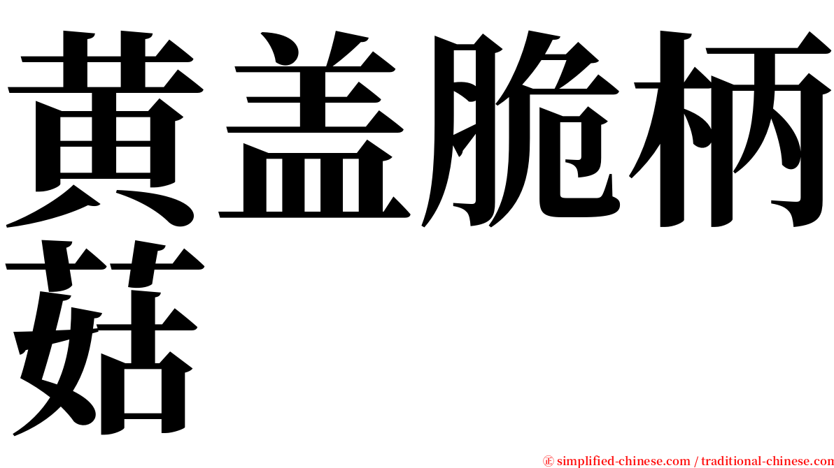 黄盖脆柄菇 serif font