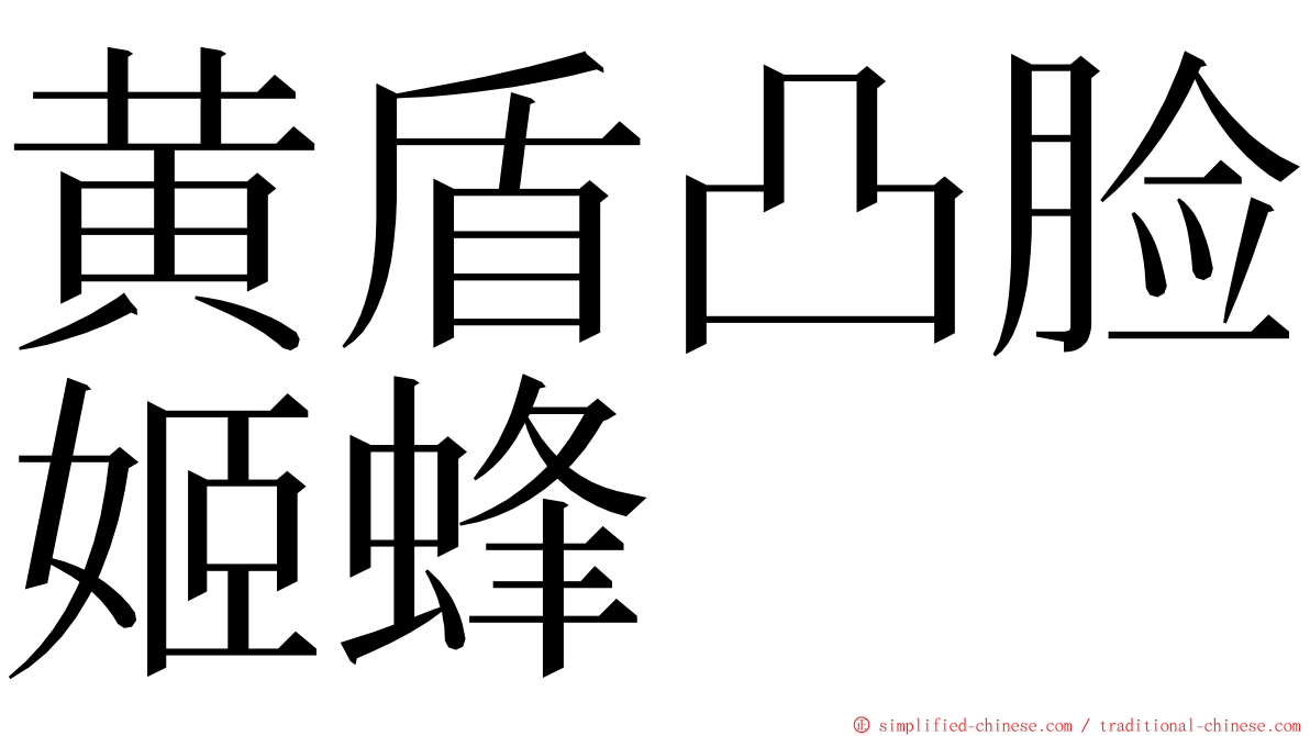 黄盾凸脸姬蜂 ming font