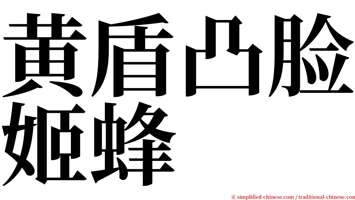 黄盾凸脸姬蜂 serif font