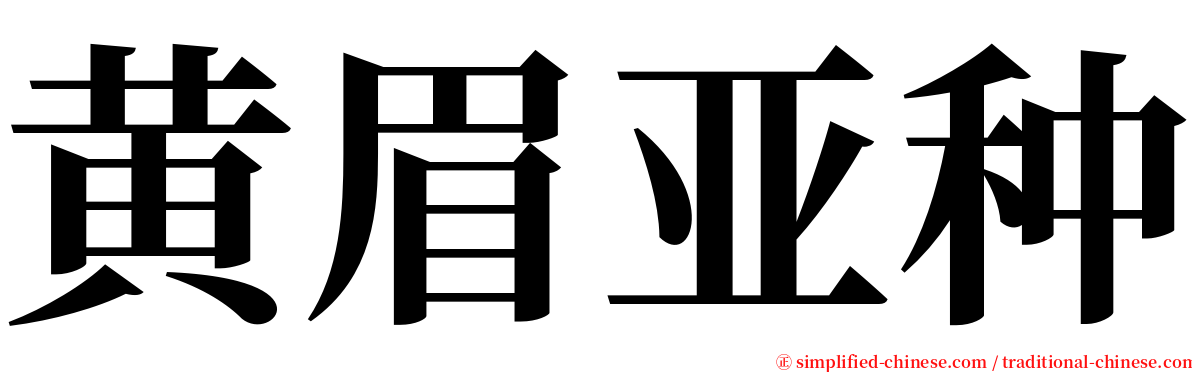 黄眉亚种 serif font