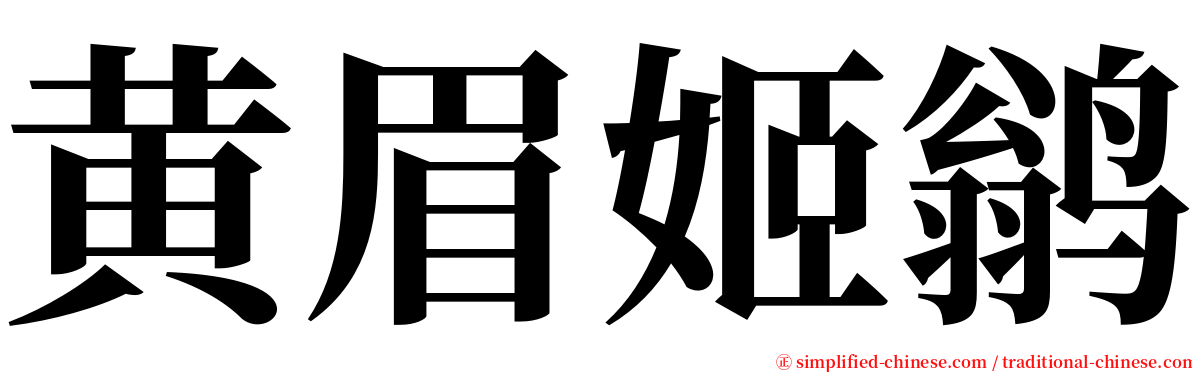 黄眉姬鹟 serif font