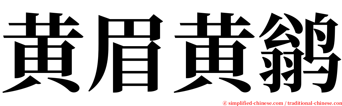 黄眉黄鹟 serif font