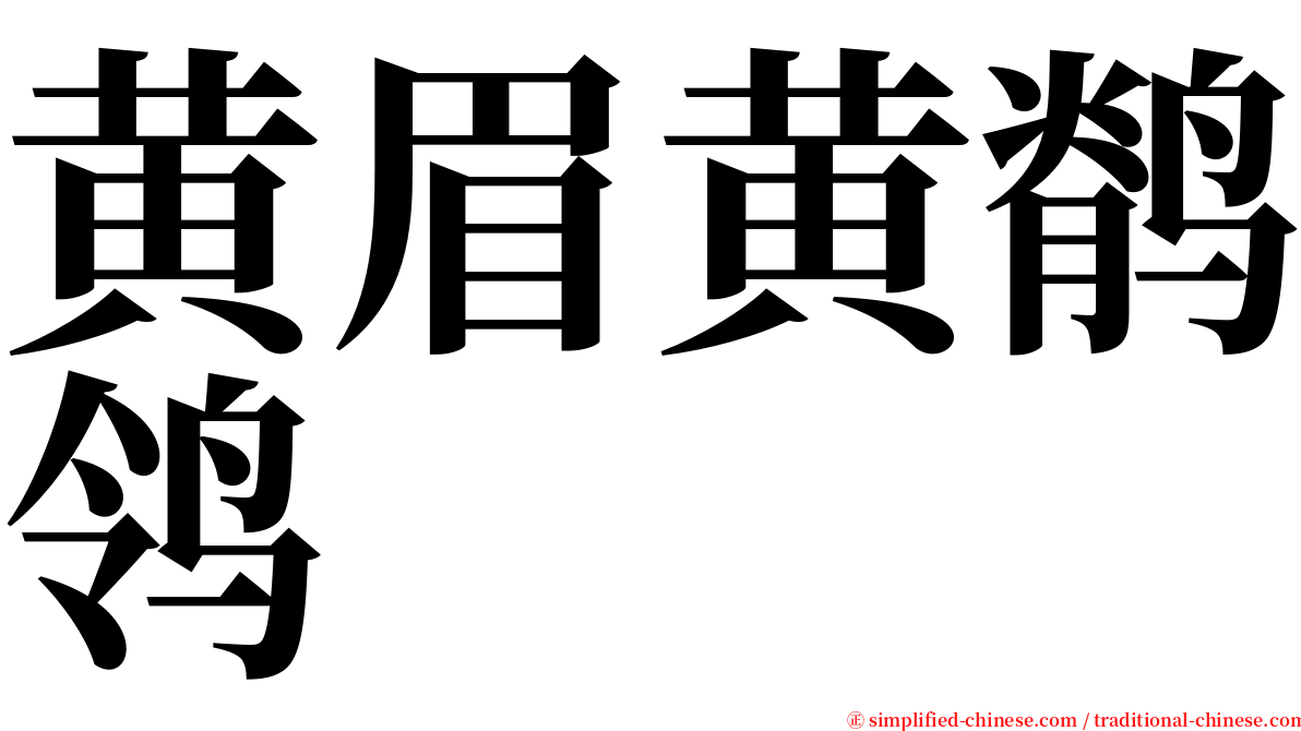 黄眉黄鹡鸰 serif font