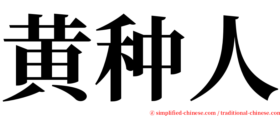 黄种人 serif font