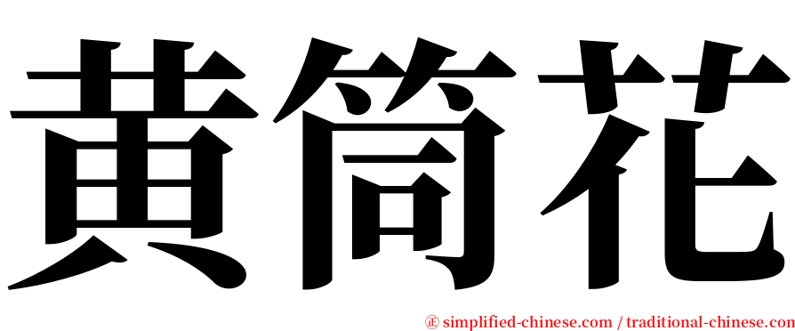 黄筒花 serif font