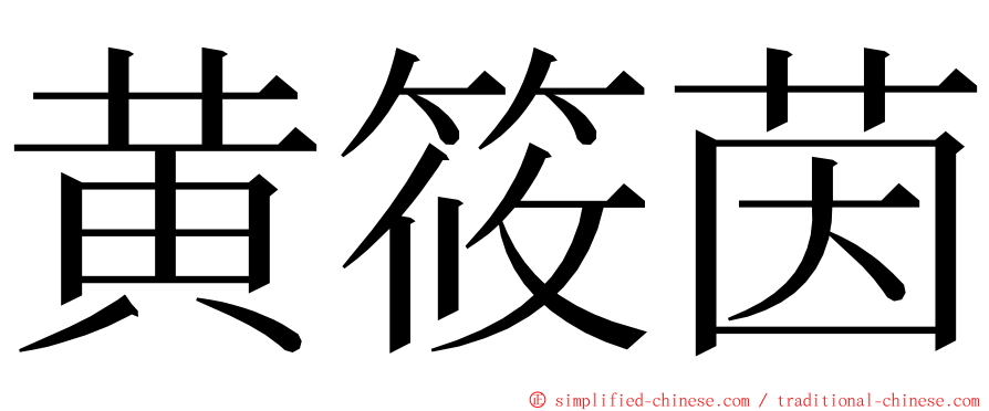 黄筱茵 ming font