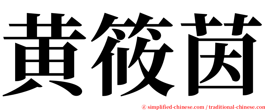 黄筱茵 serif font