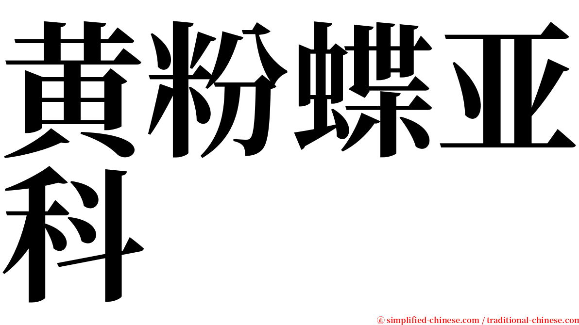 黄粉蝶亚科 serif font