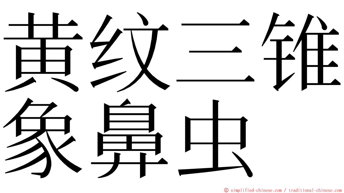 黄纹三锥象鼻虫 ming font