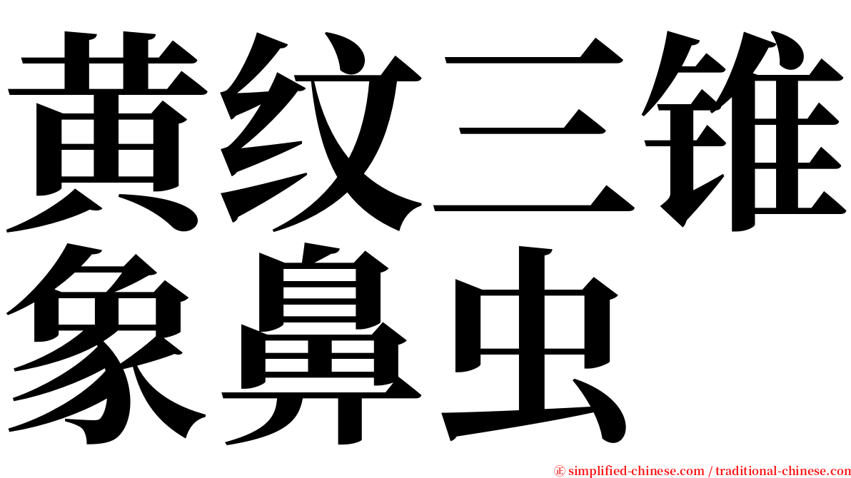 黄纹三锥象鼻虫 serif font