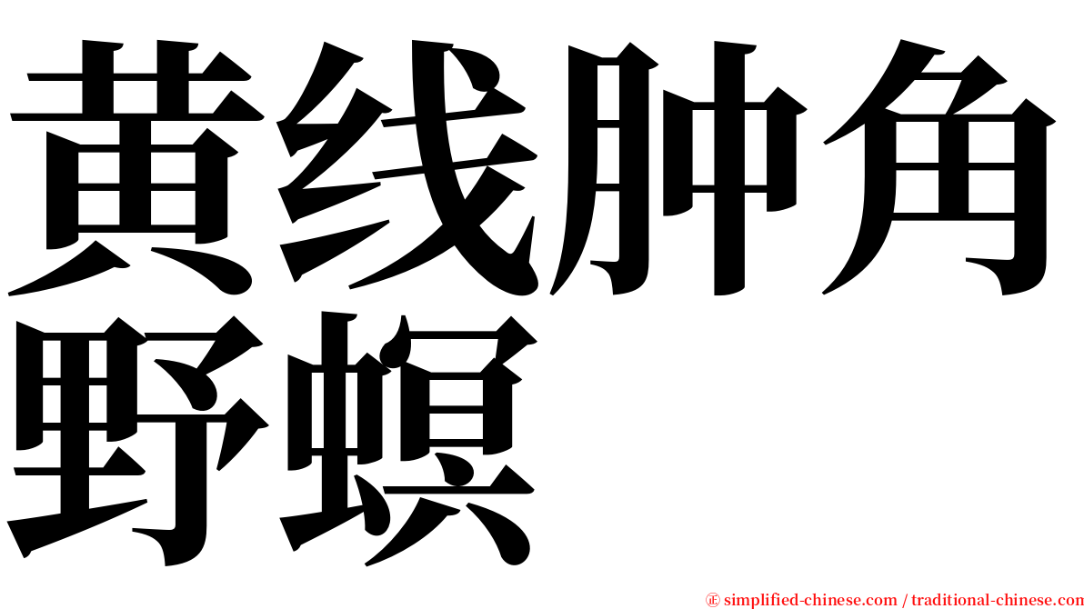 黄线肿角野螟 serif font