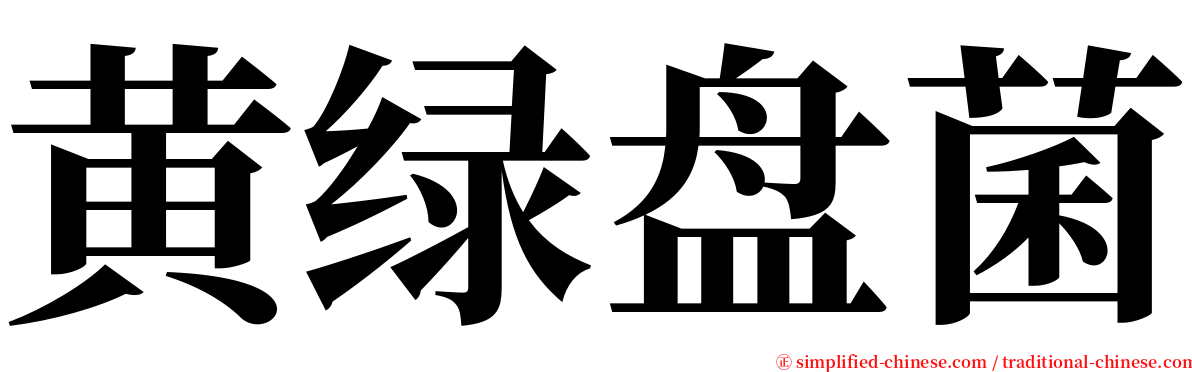 黄绿盘菌 serif font