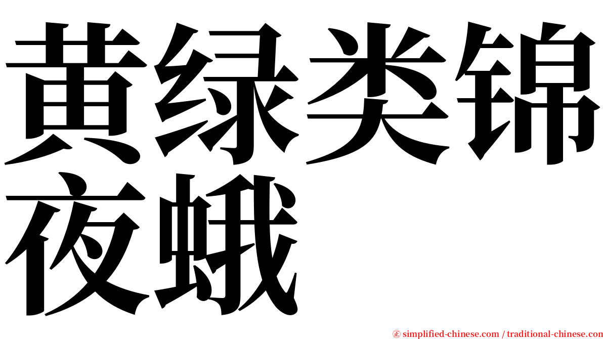 黄绿类锦夜蛾 serif font