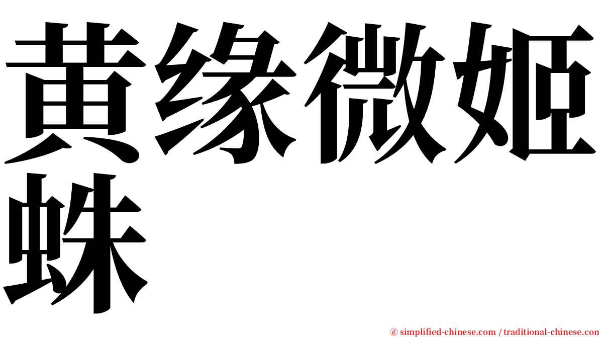 黄缘微姬蛛 serif font