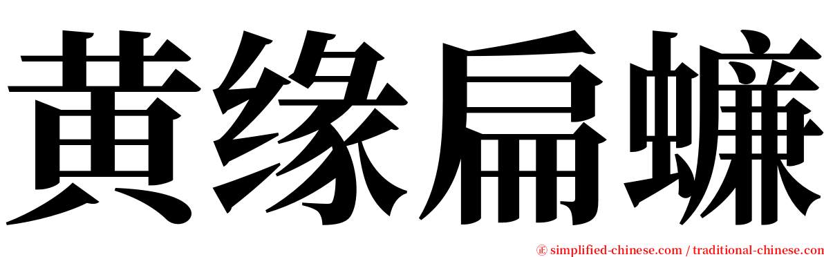 黄缘扁蠊 serif font