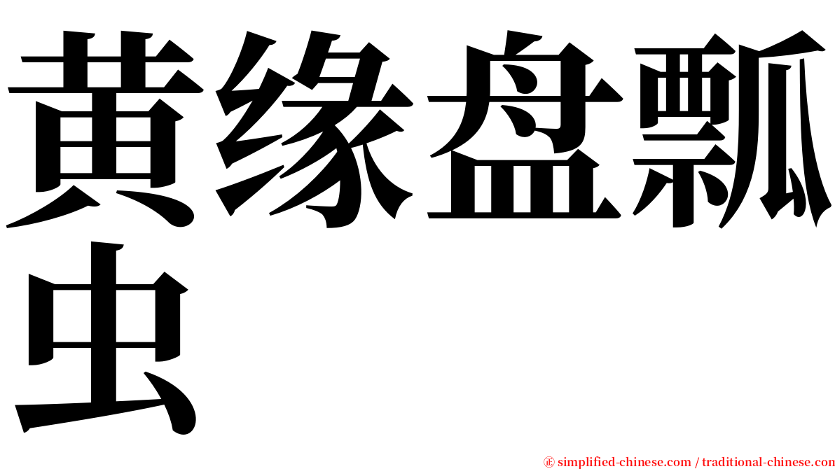 黄缘盘瓢虫 serif font