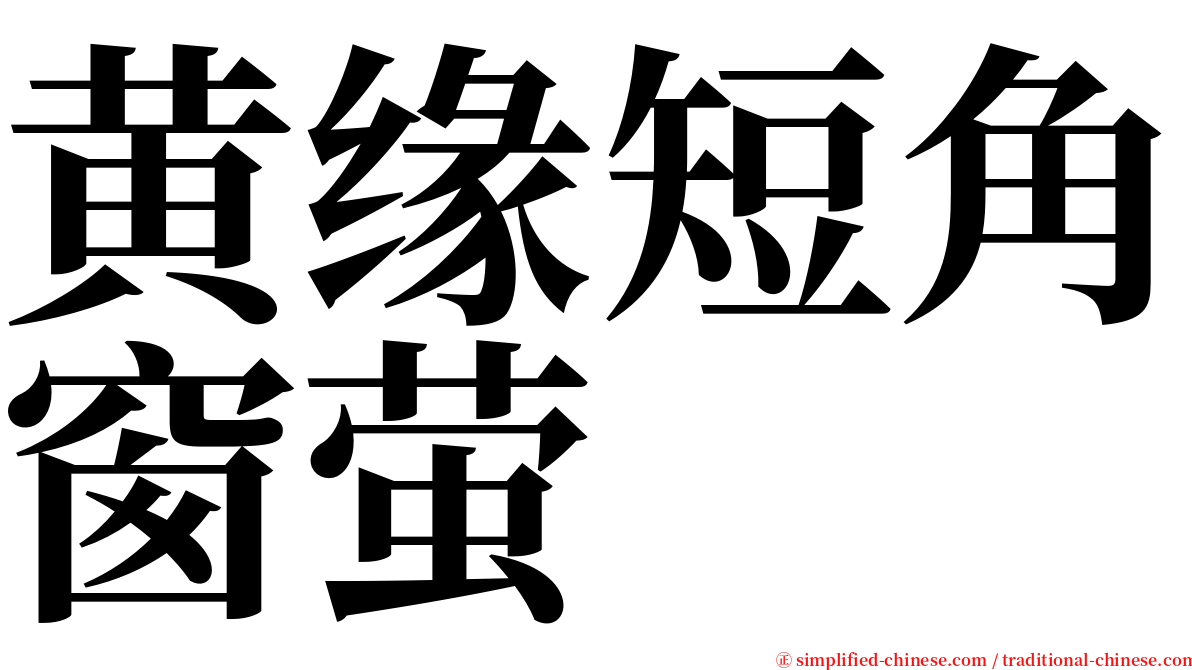 黄缘短角窗萤 serif font