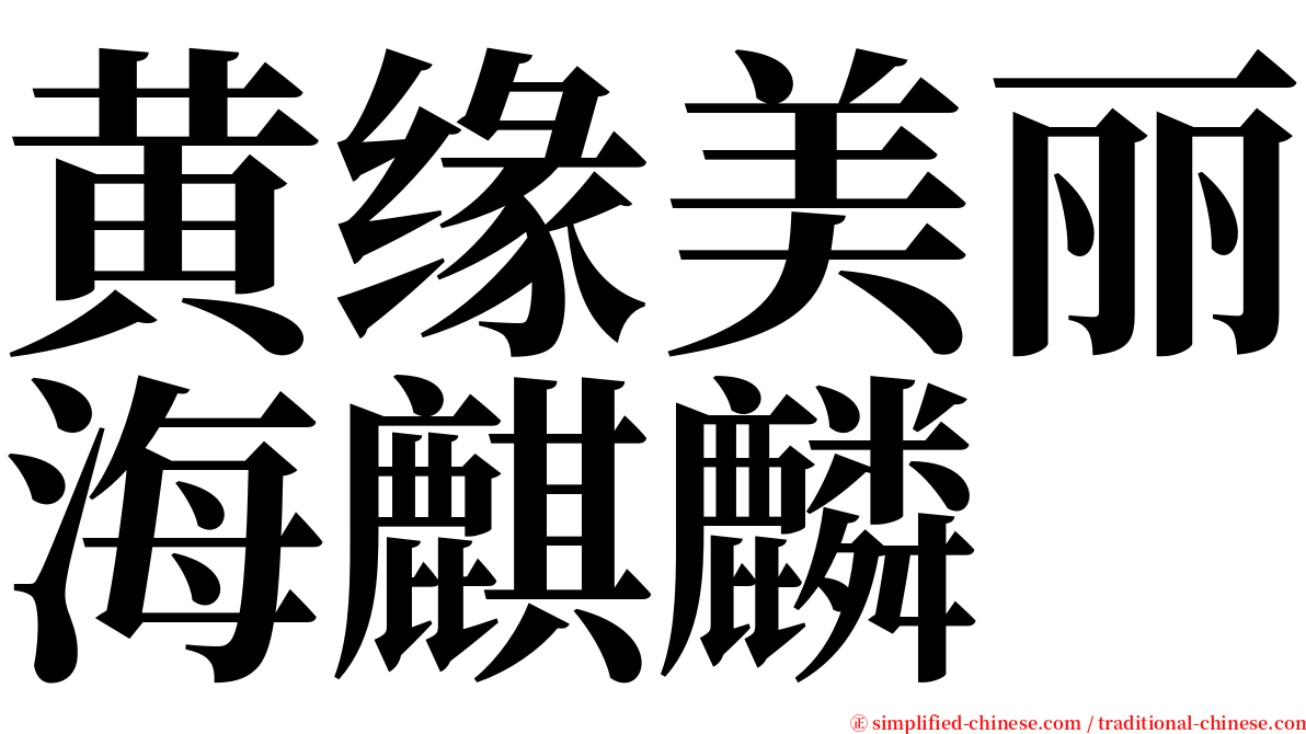 黄缘美丽海麒麟 serif font