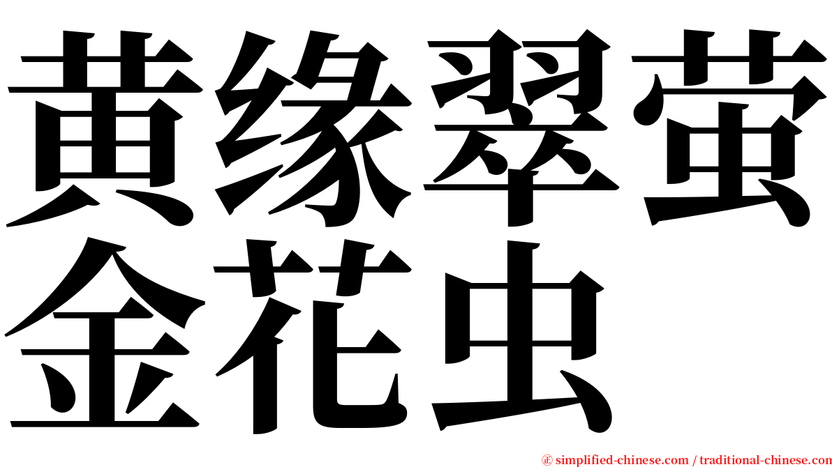 黄缘翠萤金花虫 serif font